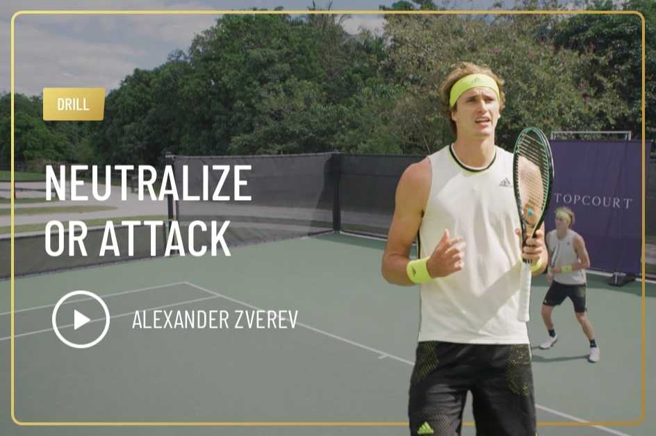 Neutralize Or Attack